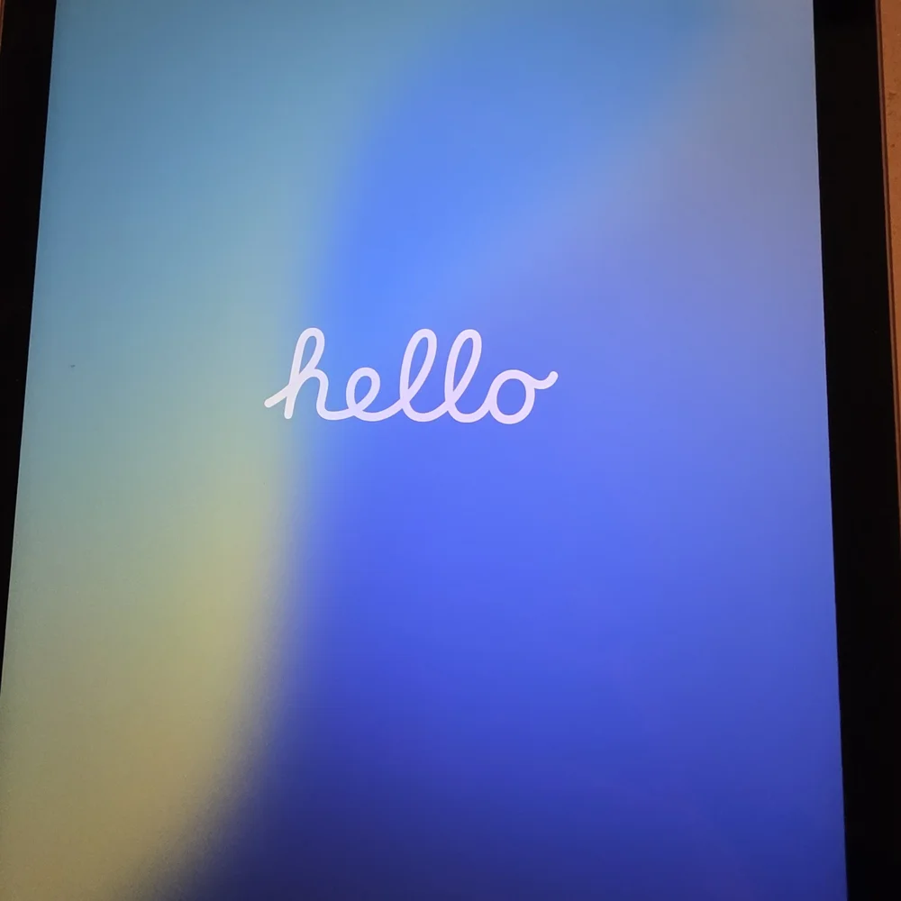 Apple iPad - Purple